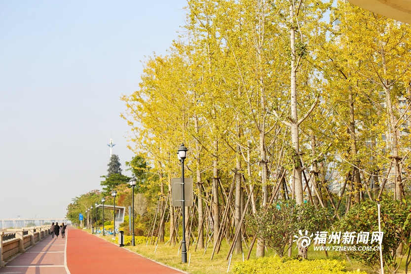 爱上福州城｜冬日乌龙江湿地公园的写意