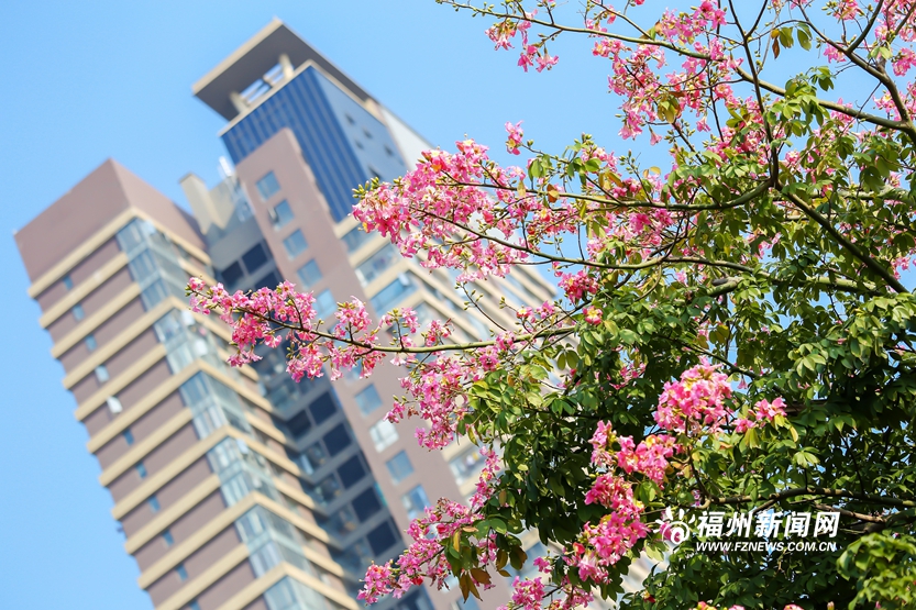 爱上福州城｜冬日乌龙江湿地公园的写意