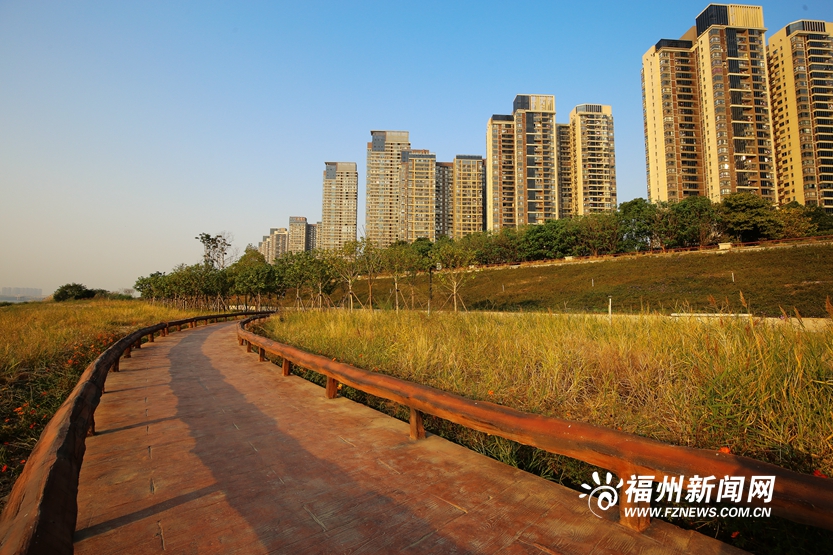 爱上福州城｜冬日乌龙江湿地公园的写意