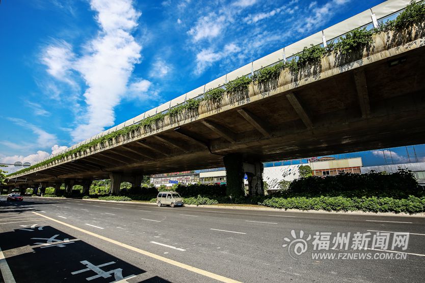 高架桥“披绿”为城市添色