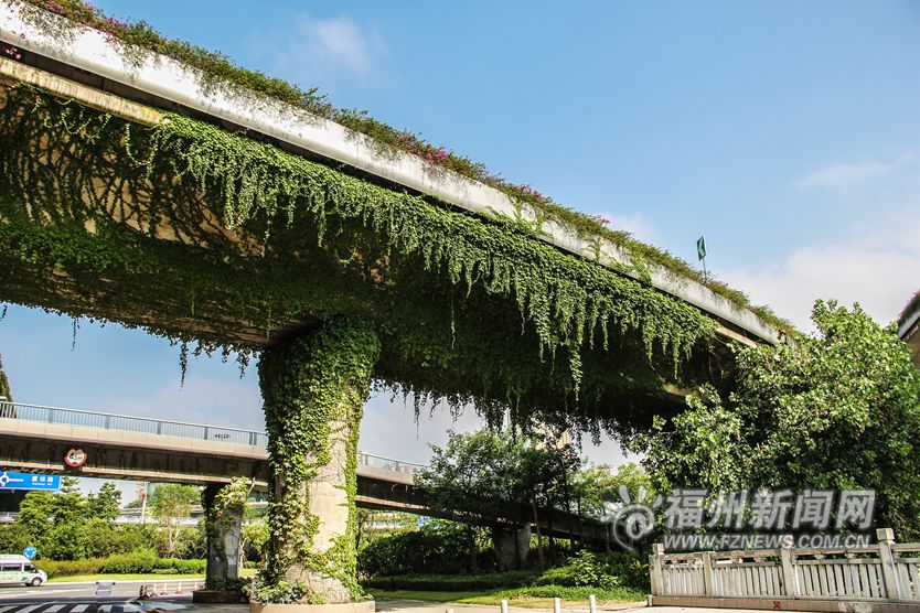 高架桥“披绿”为城市添色